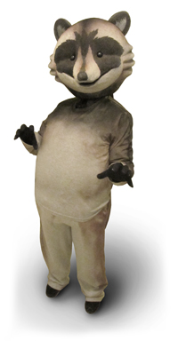 Raccoon Costume